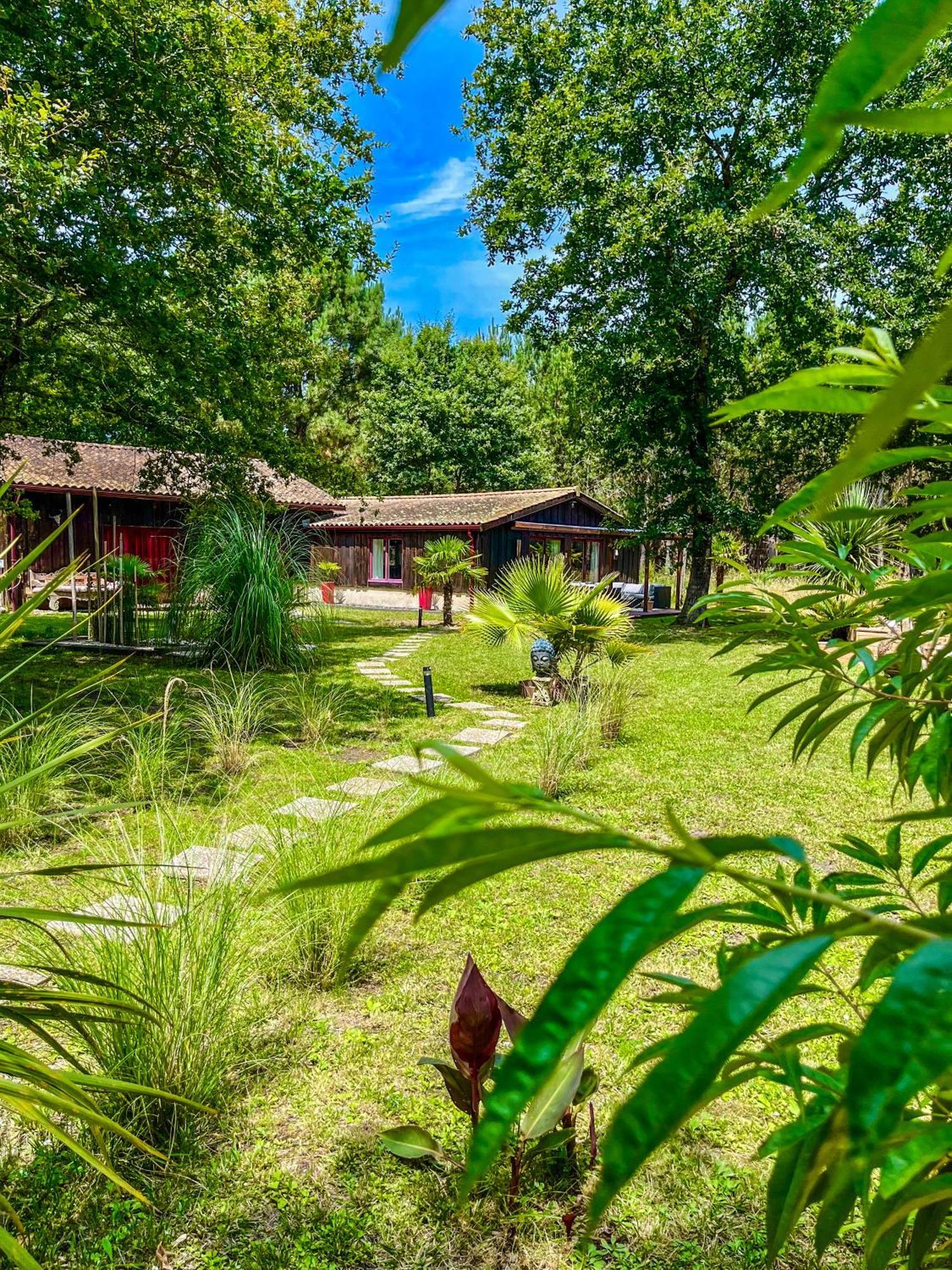 Hacienda De La Canopee Avec Piscine Chauffee Au Sel Уртен Екстериор снимка
